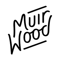 Icon representing user research, featuring a magnifying glass over a document, symbolizing analysis and insights gathering.